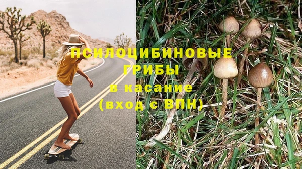 дурь Армянск